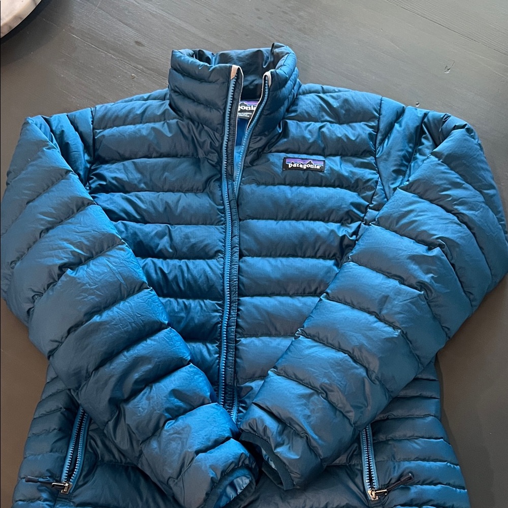 Patagonia W’s Down Sweater Jacket in blue
